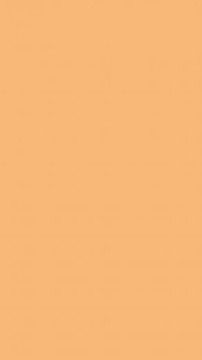 Mellow Apricot Solid Color Background