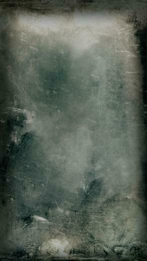 Moss Hard Wood iPhone Home Screen Wallpaper