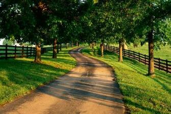 The Most Beautiful Pictures Of Nature Widescreen HD Wallpaper