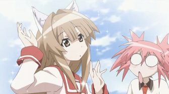 Seto No Hanayome Episode Subtitle Indonesia Anime