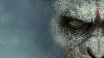 Caesar Dawn Of The Planet Apes HD 1080p And