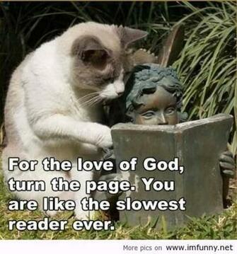 Funny Sayings With Animals