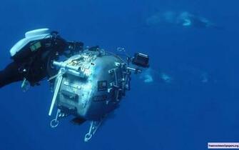 Under The Sea 3d Wallpaper Moallpapers Org