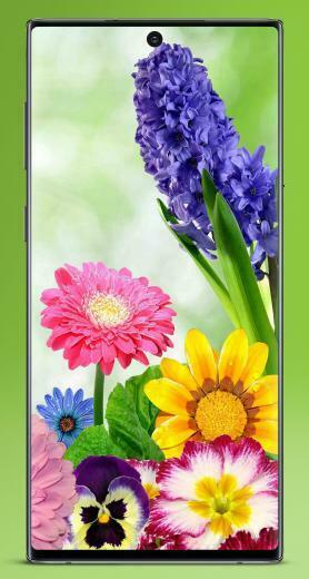 Wallpaper Bunga Cantik Offline For Android Apk