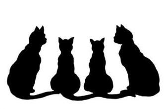 Cat Silhouette Wallpaper HD Background Image