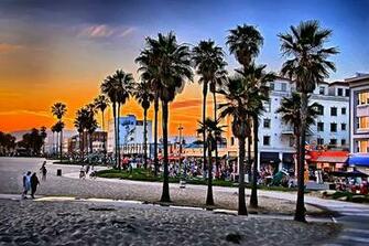 Iver Caryson S Photos Tagged With Venicebeach