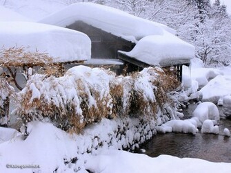Winter In Japan Wallpaper