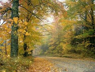 Desktop Wallpaper Natural Background Crisp Autumn Afternoon