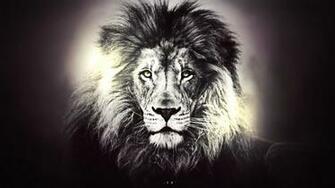Lion Wallpaper For Desktop