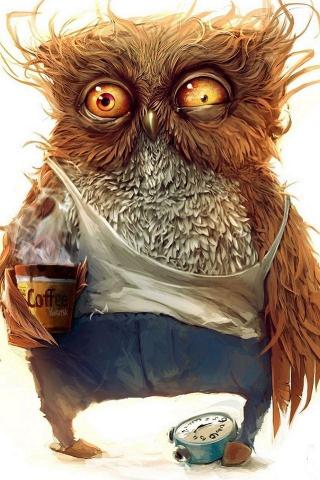 Funny Owl Wallpaper iPhone 4s