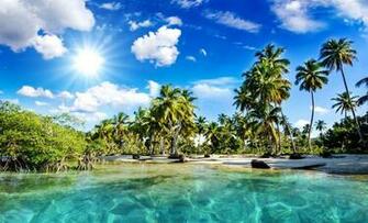 Sea Tropical Palm Trees Beach Nature Wallpaper