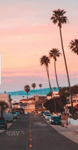 Summer iPhone Wallpaper That You Have To See Artist Hue