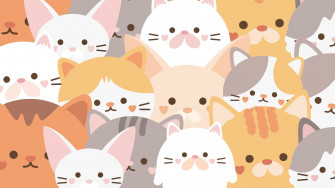 Update More Than Kawaii Cats Wallpaper Super Hot