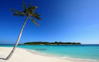 Beach Anguilla Best HD Wallpaper