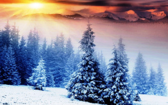 Beautiful Winter Wallpaper For Desktop