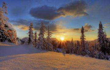 Wallpaper Winter Forest Snow Mountain National Park Mount