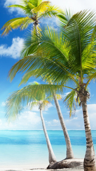 Beach iPhone Background Wallpaper