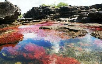 Ca O Cristales HD Wallpaper Background Image Id