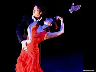 Flamenco Wallpaper Art Print