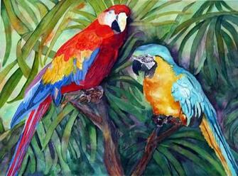 Blue And Yellow Parrot Sitting On Tree Wallpaper Pitcher Image