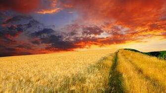 Wallpaper Landscape Farm