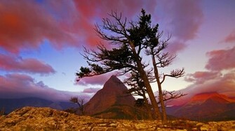 Wallpaper Screen Savers Google Screensavers And