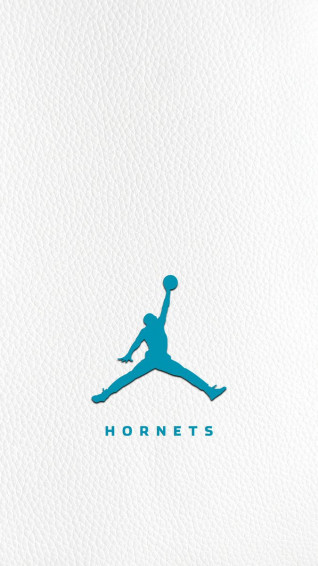 Charlotte Hornets And Nba Logo Wallpaper