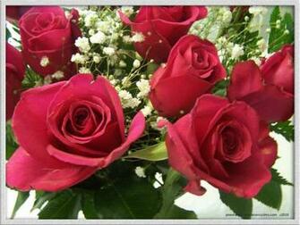 Valentine Rose Pictures HD Wallpaper Photo Letters