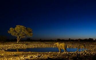 HD Africa Wallpaper For Desktop And Mobile