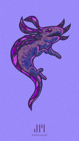 Wallmk Best Axolotl Wallpaper