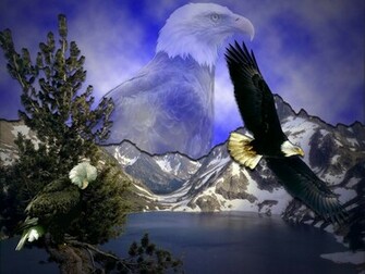 Wallpaper S Eagle Theme