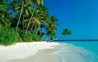 Tropical Island Beaches HD Wallpaper Background Image