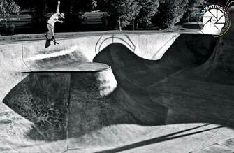 Wednesday Wallpaper Raven Tershy Transworld Skateboarding