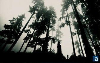 Journal Wallpaper Wednesday Whistler Woods Mountain Biking
