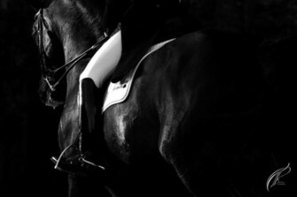 Black And White Dressage By Cobertizo
