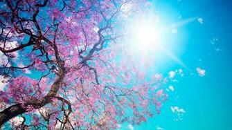 HD Wallpaper High Definition Quality Desktop