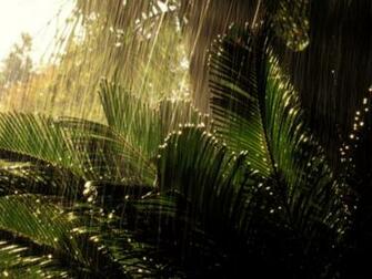 Rain Falling Always Looks Beautiful