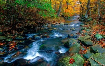 Nature Wallpaper Natural Scenery