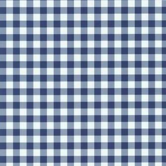 Playground Navy Blue White Gingham Check Wallpaper By P S