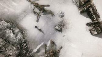 Dinosaur Skeletons Wallpaper