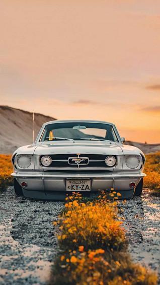 Ford Logo iPhone Wallpaper