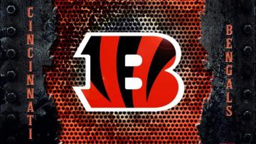Cincinnati Bengals Wallpaper HD Nfl Football