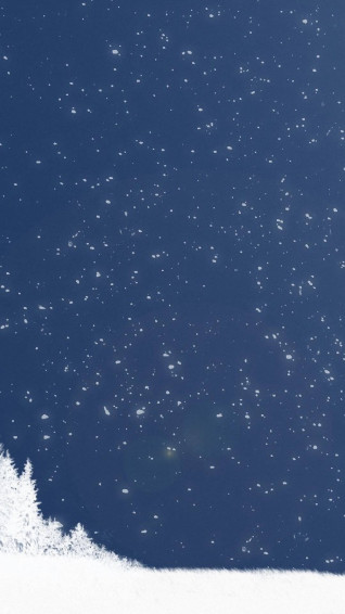 Falling Snow Winter iPhone Wallpaper