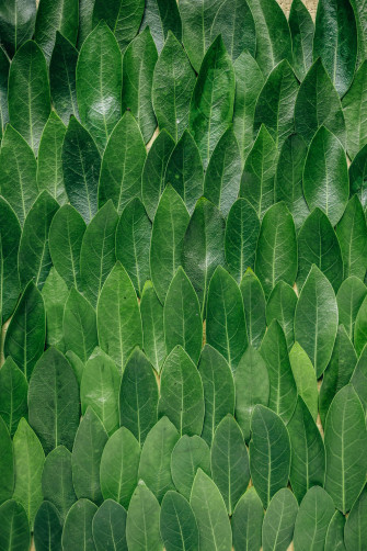 Redmi 4k Wallpaper
