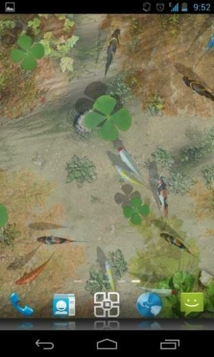 Water Pool Live Wallpaper Android