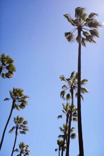 Beverly Hills Hotel Los Angeles Places To Go