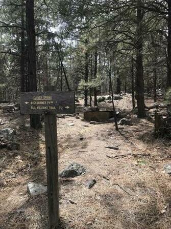Best Trails Near Williams Arizona Alltrails