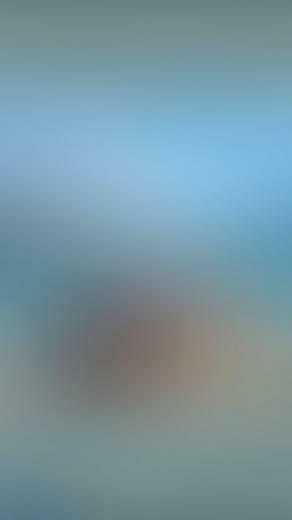 Best Blur Background App Compare The Top Apps