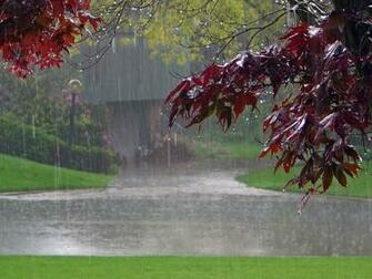 Rain HD Image Storm