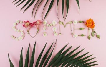 Wallpaper Summer Leaves Flowers Background Pink